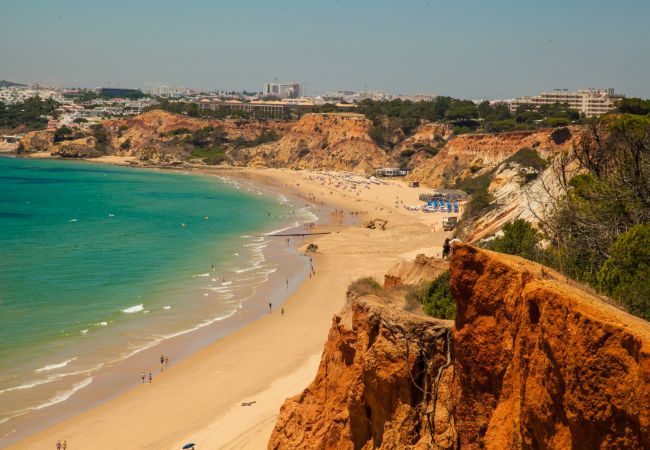Apartamento em Albufeira - Falesia Beach B Apartamento em Albufeira - Falesia Beach B