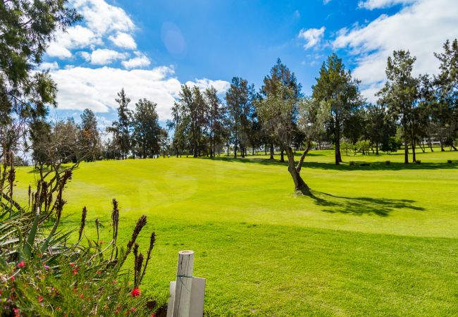 Apartamento em Portimão - Apartment Pampas Apartamento em Portimão - Apartment Pampas