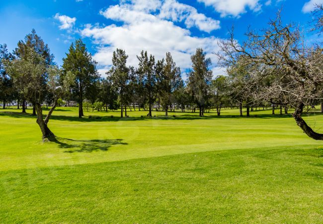 Apartamento em Portimão - Apartment Pampas Apartamento em Portimão - Apartment Pampas