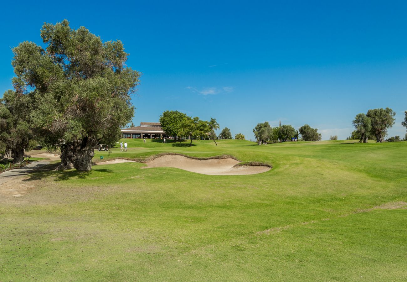 Apartamento em Carvoeiro - Pinta Golf 290f