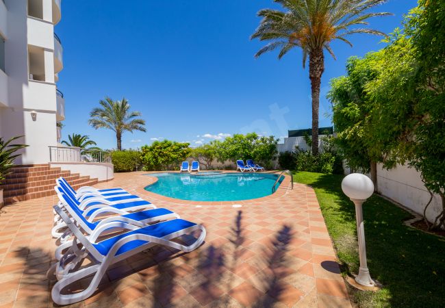 Apartamento em Lagos - Apartment Mos Apartamento em Lagos - Apartment Mos