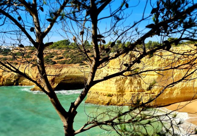 Apartamento em Carvoeiro - Apartment Centeanes Apartamento em Carvoeiro - Apartment Centeanes