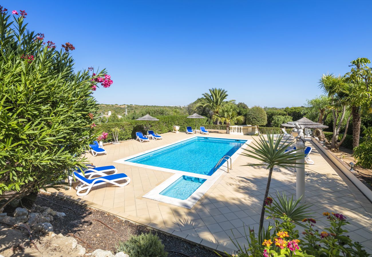 Swimming pool and surrounding terrace and garden