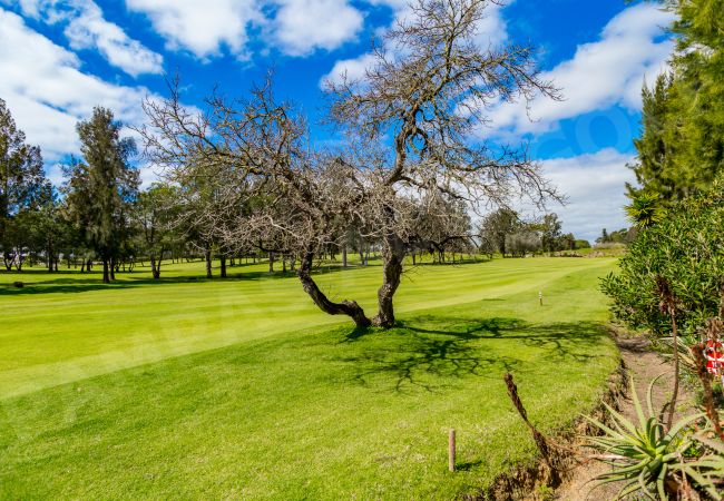 Apartment in Portimão - Apartment Pampas Apartment in Portimão - Apartment Pampas