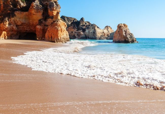 Apartment in Portimão - Apartment Pampas Apartment in Portimão - Apartment Pampas