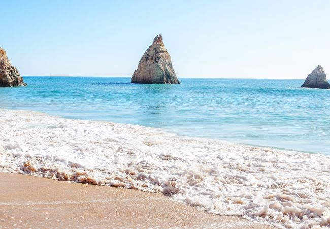 Apartment in Portimão - Apartment Pampas Apartment in Portimão - Apartment Pampas