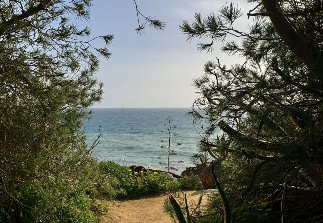 Apartment in Porches - Alporchinhos 840 Apartment in Porches - Alporchinhos 840