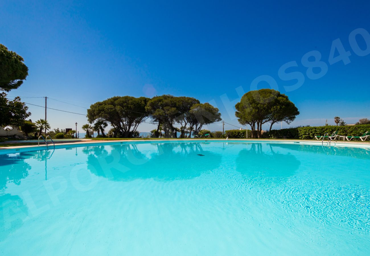 Outdoor swimming pool with sea view and greenery. Alporchinos 840