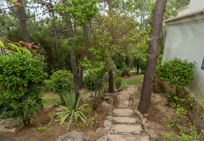 Villa in Budens - Casa Clajon Villa in Budens - Casa Clajon