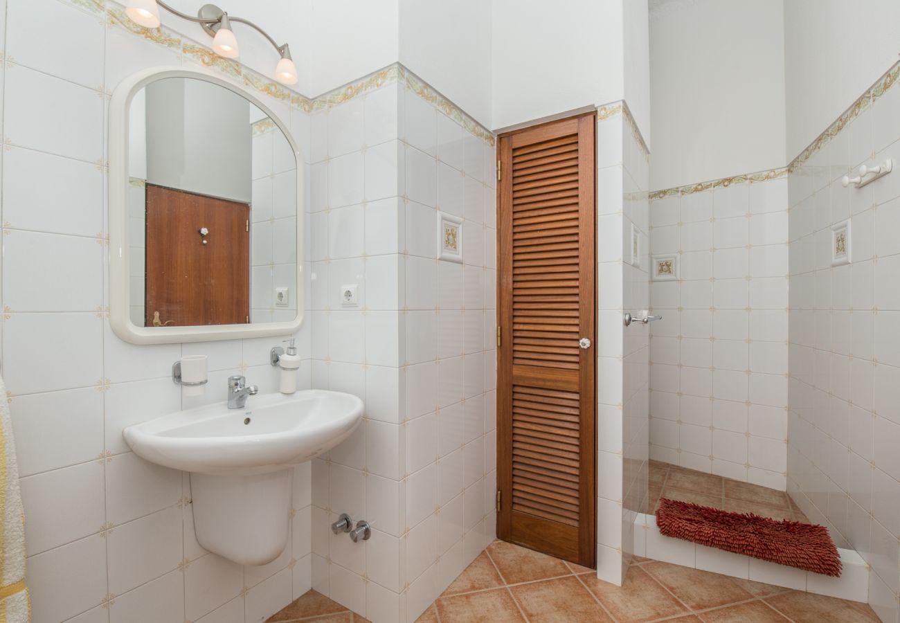 walk-in shower and basin