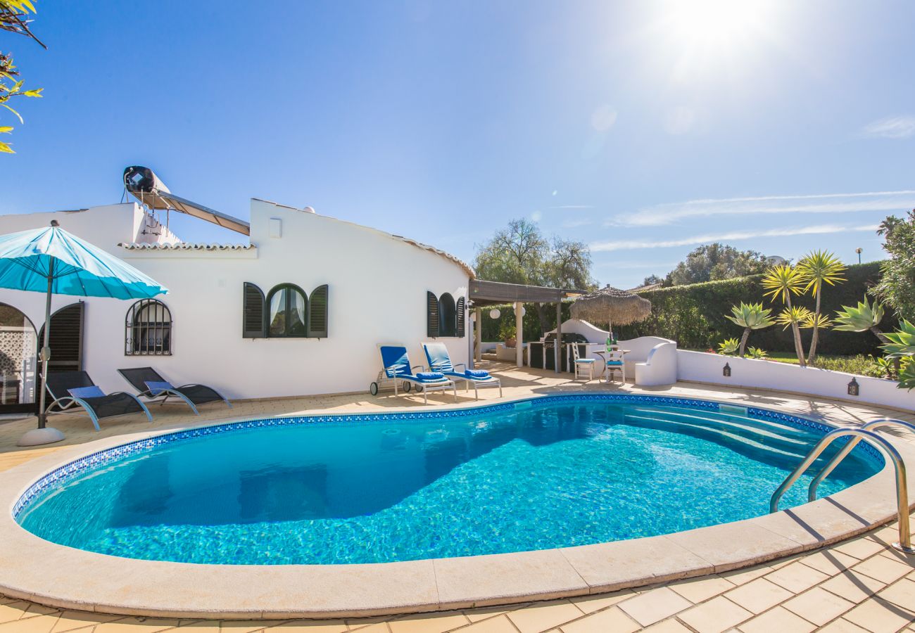 pool with surrounding terrace, barbecue, loungers
