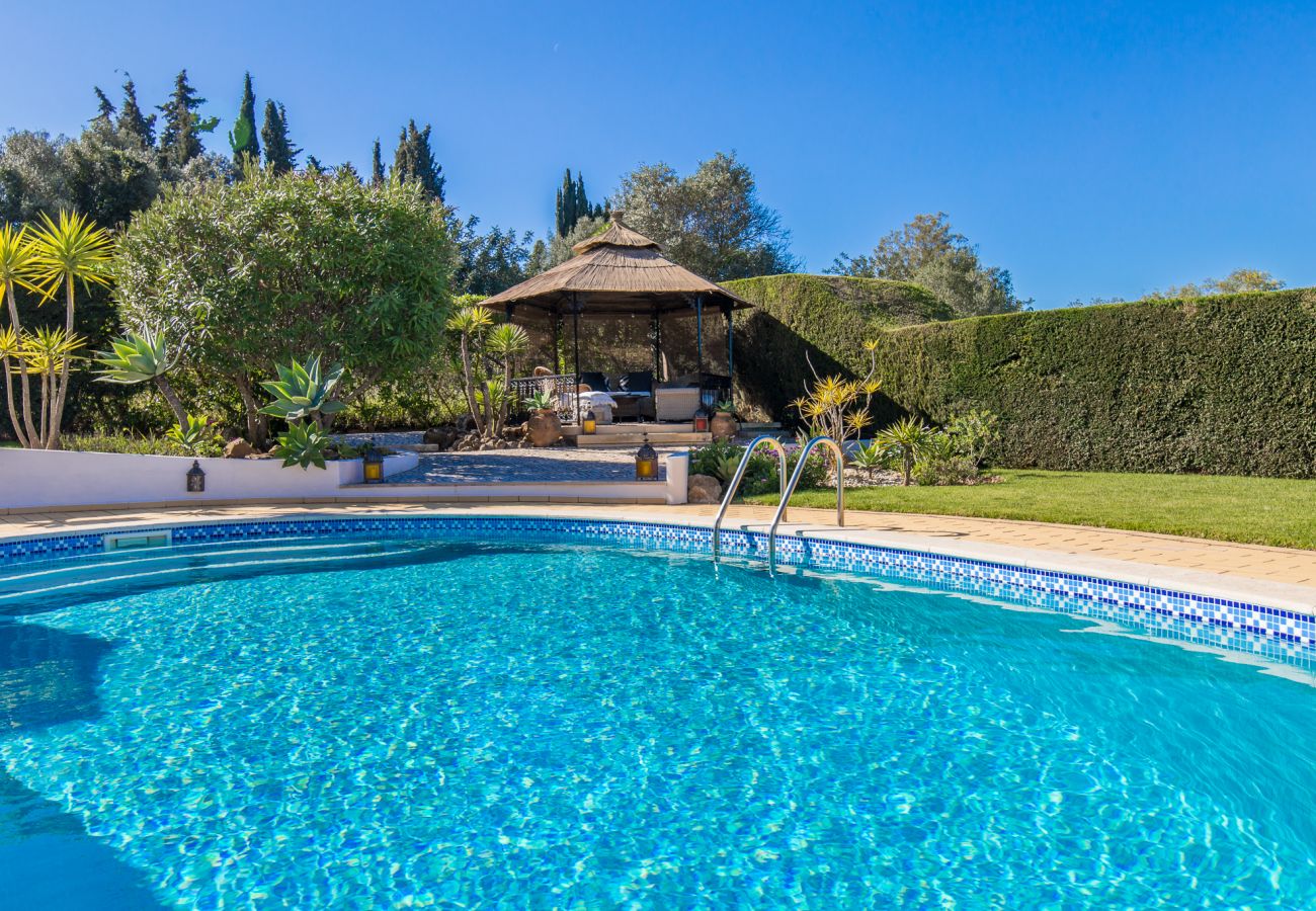 View across the pool to the raised pergola