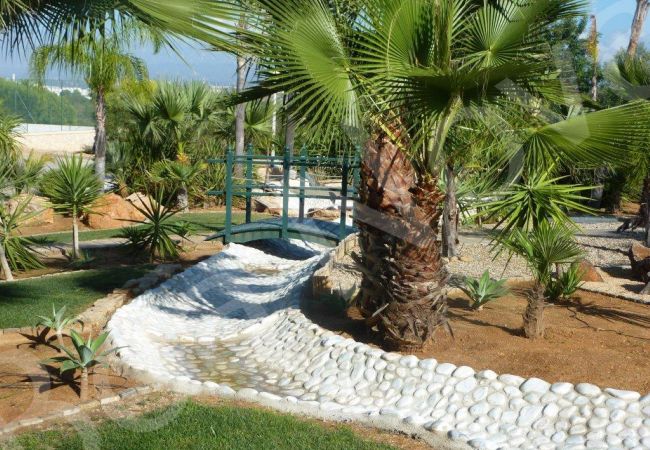 Terraced House in Carvoeiro - Boa Nova 32/6 Terraced House in Carvoeiro - Boa Nova 32/6