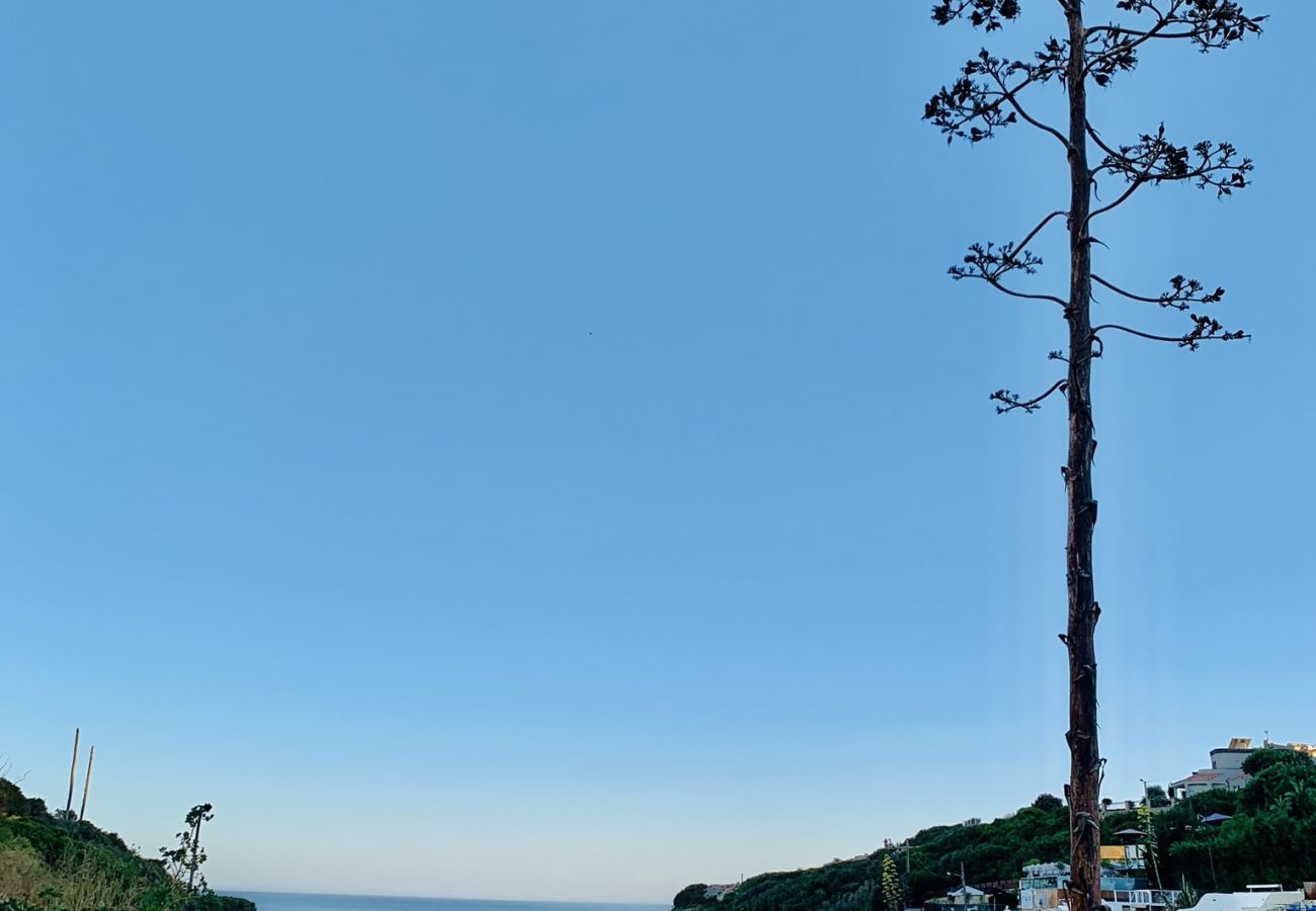 Villa in Carvoeiro - Vivenda Vista Alegre