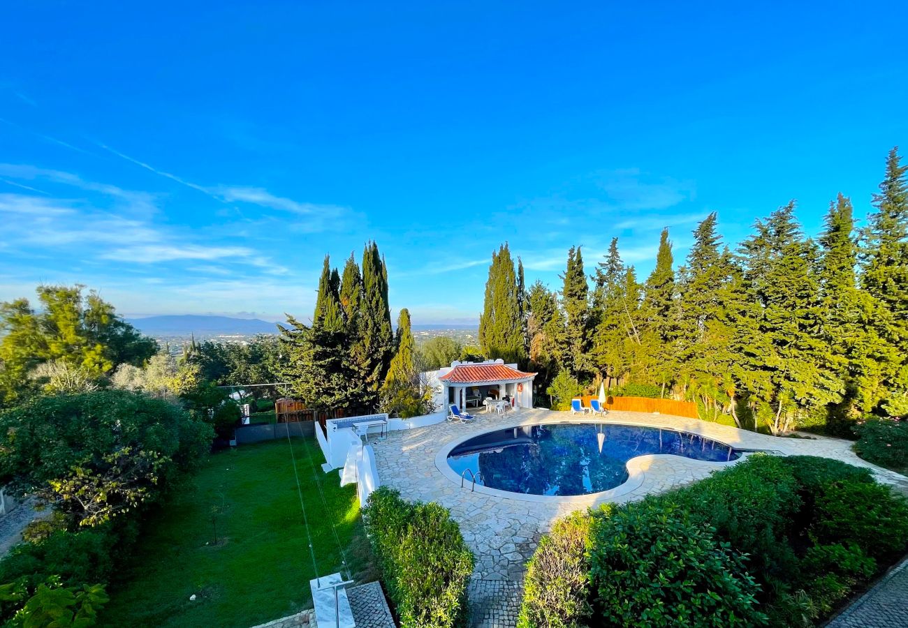 Villa in Carvoeiro - Villa Mandarin