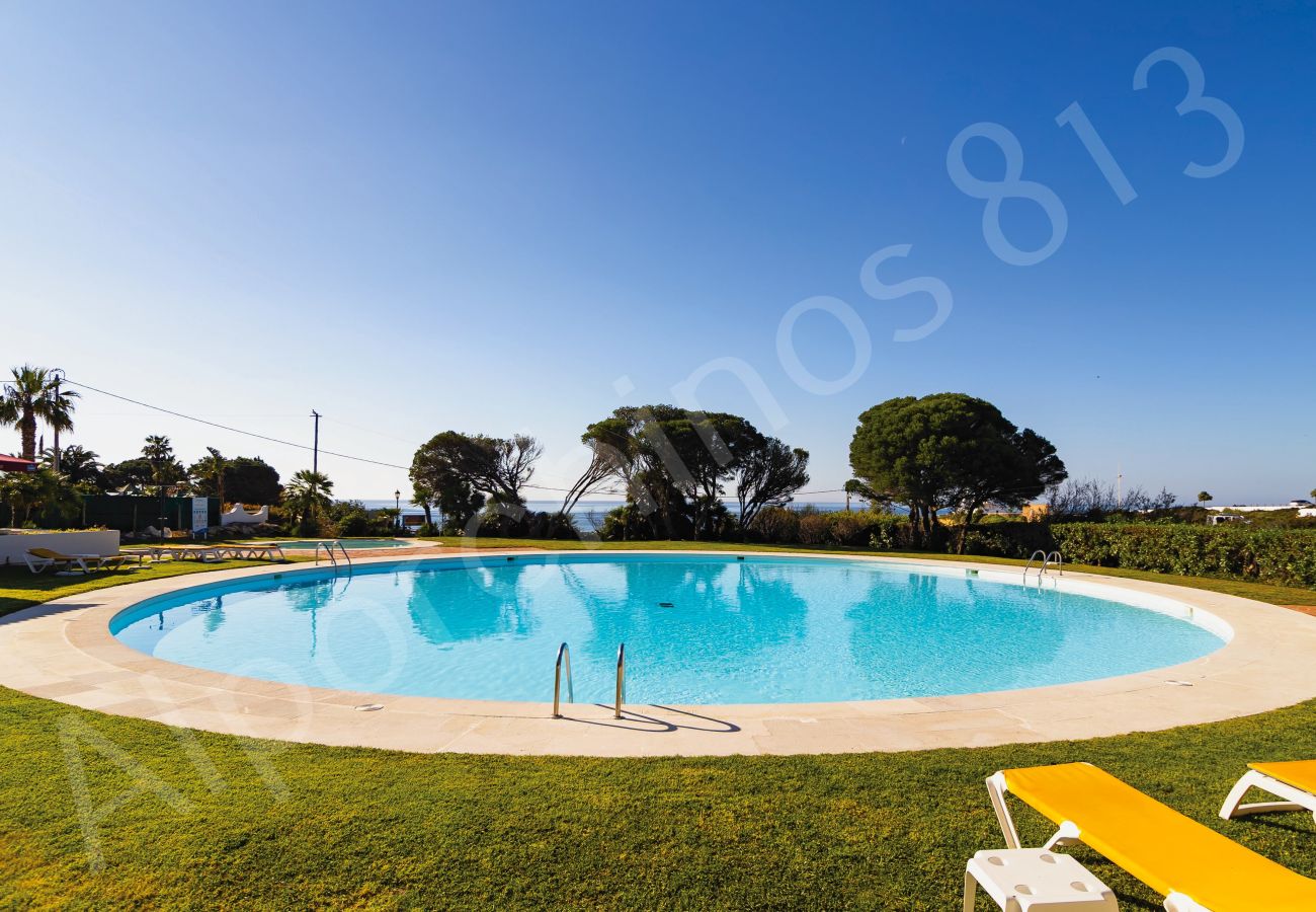 Communal pool with sun terrace, loungers, palm trees, and sea views at 813 Alporchinhos Algarve